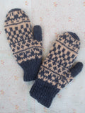 Nepal Mitten #2